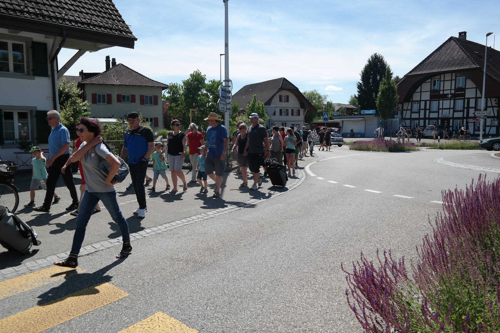 Bild1 (303)